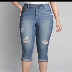 Lane Bryant high rise pedal jeans